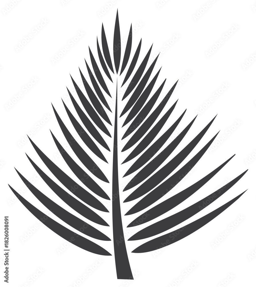 Fototapeta premium Black palm frond illustration on white background