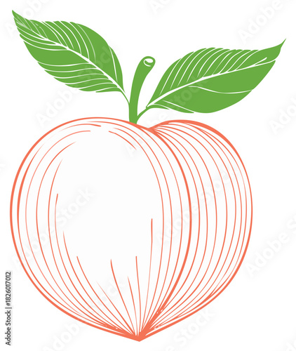 Stylized Peach Illustration with Green Leaves and Ornamental Line Design