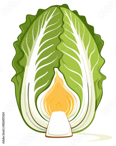Green Napa Cabbage Vegetable Cut in Half Revealing a Golden Flame Light Inside Illustration