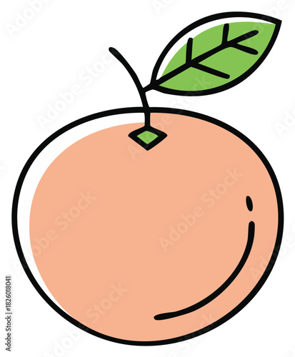 Orange fruit illustration with green leaf, drawing style, healthy food concept