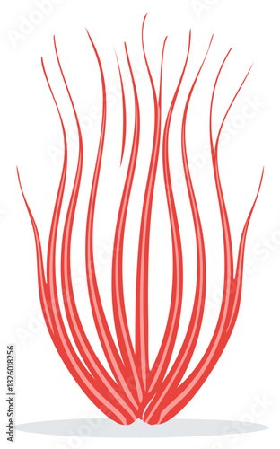 Red lines illustration resembling coral or jellyfish flowing upwards, vector drawing