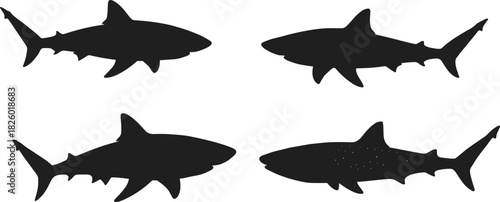 Collection of detailed shark silhouettes featuring various species and swimming poses, bold marine wildlife vector illustration set for ocean themed designs