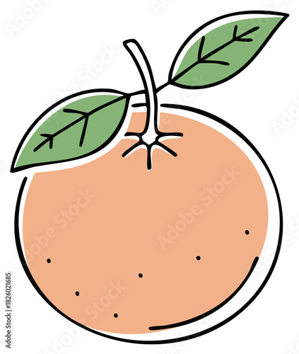 Colorful orange fruit illustration with leaves on a white background