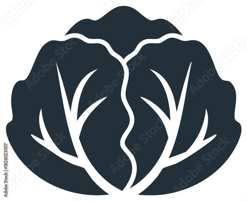 Simplified dark green cabbage icon representing fresh vegetable healthy food concept