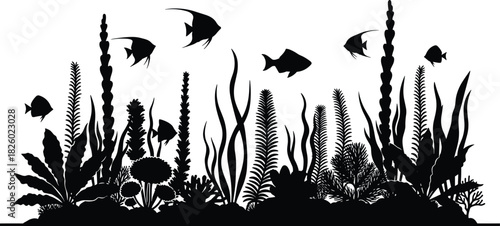 underwater, aquarium, freshwater, silhouette, fish, plants, nature, aquatic, ecosystem, tank, coral, leaf, design, vector, black, white, biodiversity, environment, illustration, swimming