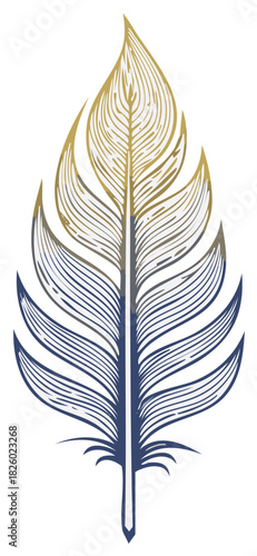 Elegant gold and blue feather illustration with stylized hand drawn line art