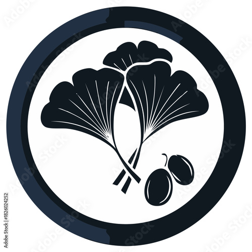 Traditional Japanese kamon family crest with icho ginkgo leaves and fruits, a circular clan emblem vector