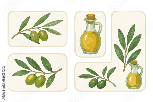 Watercolor style olive branches and olive oil bottles for Mediterranean food design