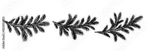 Christmas black tree branch set, hand drawn	
