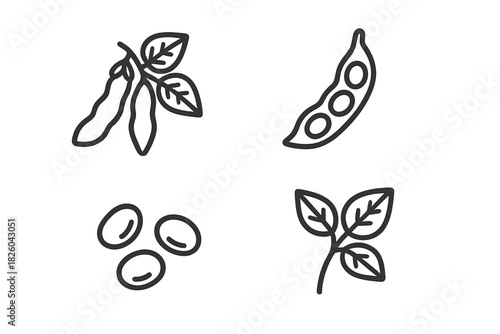 Soybean plant elements showing pods, seeds, and foliage for healthy eating