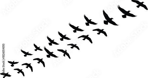 Black Silhouette Vector of a Flock of Birds Flying Diagonally in V-Formation or Migration Path, Symbolizing Freedom, Journey, Teamwork, Nature, and Movement in Sky.