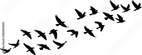 Black Silhouette Vector of a Flock of Birds Flying in V-Formation or Migratory Pattern, Symbolizing Freedom, Journey, Teamwork, Nature, and Movement on White.
