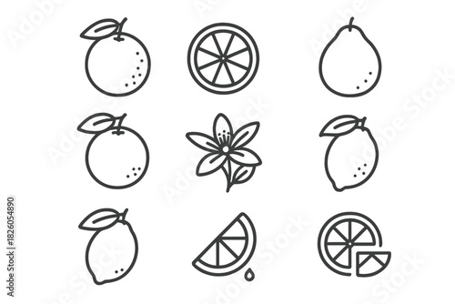 Minimalist line icons of citrus fruits, whole oranges, lemons, slices and blossom