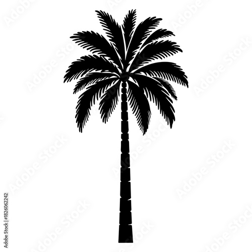 Abstract silhouette of a graceful dancer in motion with flowing lines and curves creating an elegant dance composition