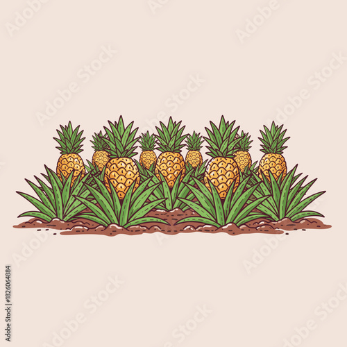 Pineapple harvest field art.Tropical fruit farm border.Hand drawn pineapple patch.Vintage fruit plantation row.Ripe pineapples growing design