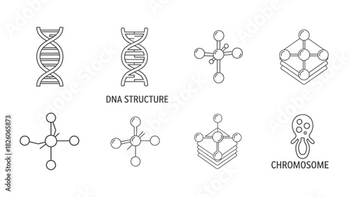 DNA Structure and Chromosome Line Art Icons for Science Projects