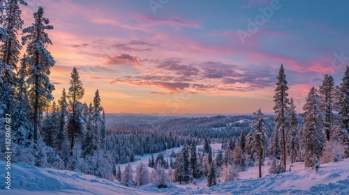 Snow covered pine forest at sunrise with pink and orange sky winter trees