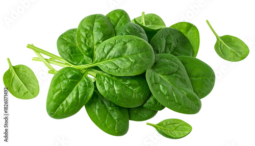 A close-up shot of a vibrant green bundle of spinach leaves on a black background
