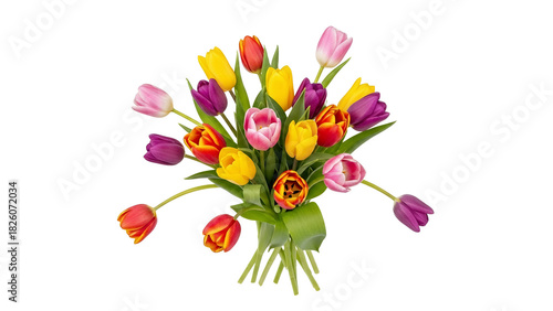 Vibrant Tulip Bouquet Displaying a Spectrum of Colors on a Clean White Backdrop displaying beautiful flowers arrangement
