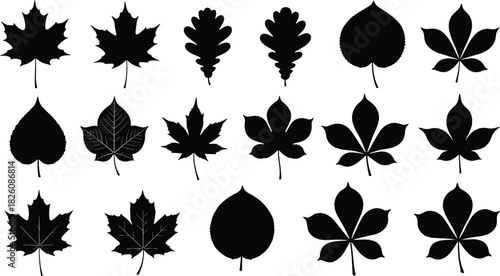 Set of Black Leaf Silhouettes Vector Icons - Maple, Oak, and Chestnut Tree Leaves for Autumn, Nature, and Botanical Design