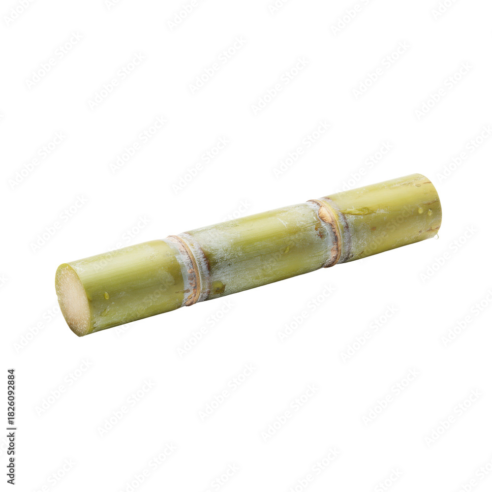 Fototapeta premium Fresh Sugarcane stalk isolated on black background healthy natural sweetener ingredient