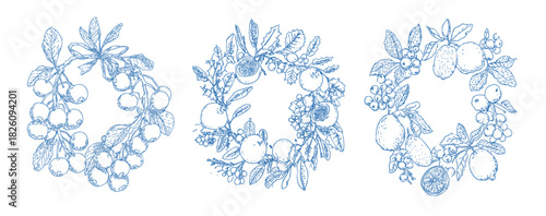 Hand drawn autumn fruit and foliage wreath illustrations featuring berries, leaves and seasonal botanical elements