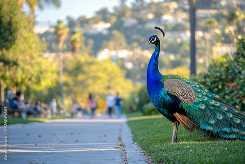 Fototapeta Naklejka Na Ścianę i Meble -  Urban street in sharp focus showing insect behavior in the city, generative ai