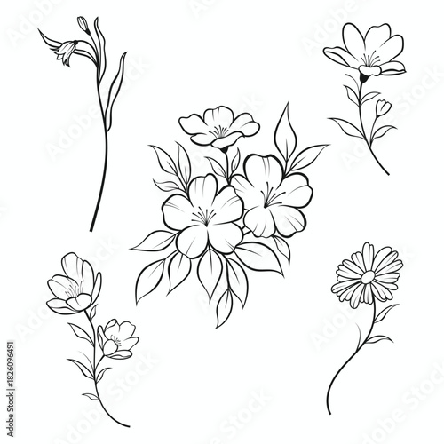 Vector set of fine line flowers. Doodle ornamental floral elements, nature botanical leaves and branches