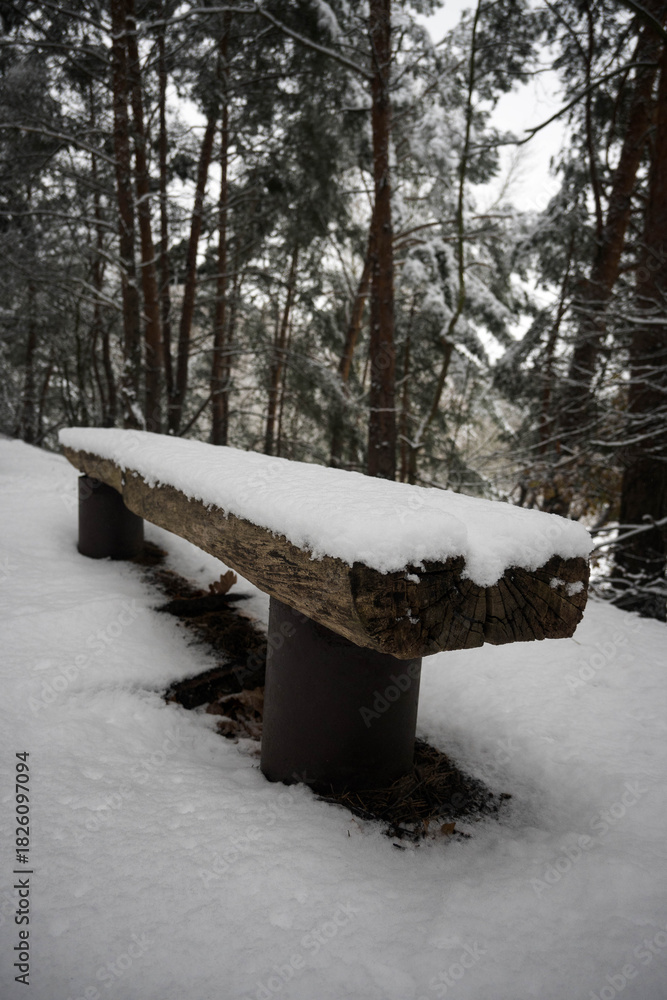 custom made wallpaper toronto digitalA log bench in the forest covered with the first snow, the beginning of winter.
