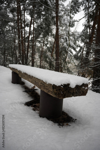 Wallpaper Mural A log bench in the forest covered with the first snow, the beginning of winter.
 Torontodigital.ca