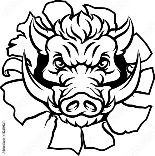 A wild boar, hog razorback ...