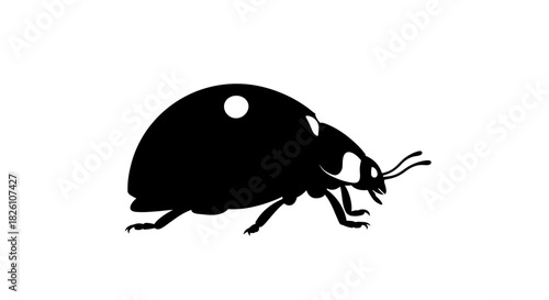Minimalist Black Silhouette Icon of a Ladybug or Ladybird Insect on White Background