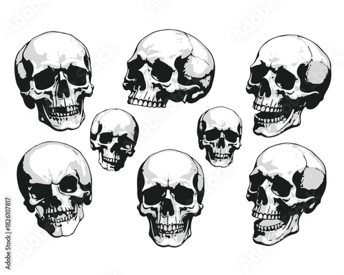 Hand Drawn Human Anatomical Skulls Vector Set in Various Angles
