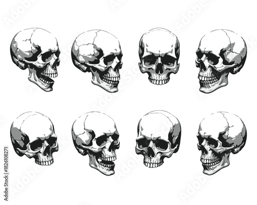 Hand Drawn Human Anatomical Skulls Vector Set in Various Angles