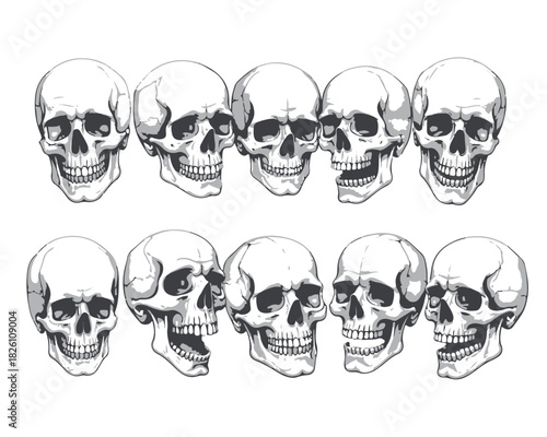 Hand Drawn Human Anatomical Skulls Vector Set in Various Angles