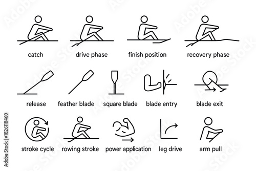 Rowing technique diagram: phases and key elements in line art