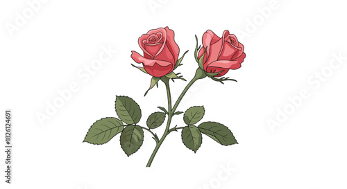 A charming illustration of two delicate pink rosebuds with vibrant green leaves on a single stem, set against a pristine white background, evoking feelings of love and beauty.