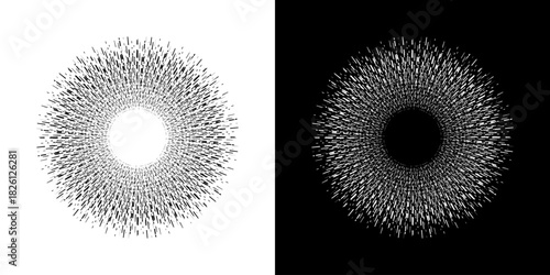Dynamic abstract spiral sound wave rhythm lines. Circular spiral sound wave rhythm of lines. Circular futuristic abstract lines, black and white background.	