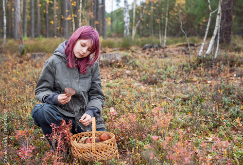 Girl foraging wild mushrooms in autumn forest