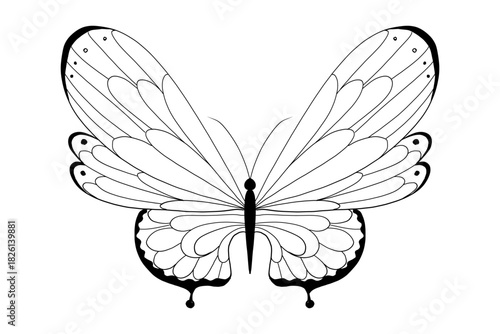 Celestial moth, butterfly line magic mystical tattoo. Universe wing moth. Celestial occult moon sketch. Line animal drawing design. Esoteric totem boho insect with space wings.