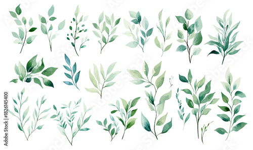 Set of hand drawn watercolor green leaves and branches collection with delicate natural botanical foliage elements in flat minimalist style for design