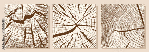 Set of backgrounds with wood texture. Growth rings and cracks in a cross-section of a tree. Vector illustration.
