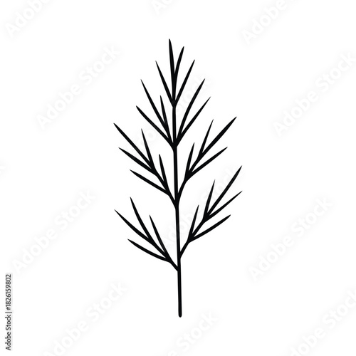Cedar sprig silhouette created in a minimalist botanical style for nature themed art Vector illustration