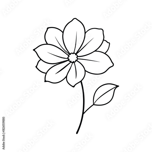 Delicate cosmos flower line art outline in a minimalist botanical style for clipart use Vector illustration