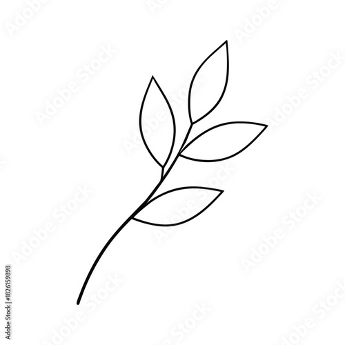 Delicate botanical line art featuring a simple branch with leaves in a minimalist style Vector illustration