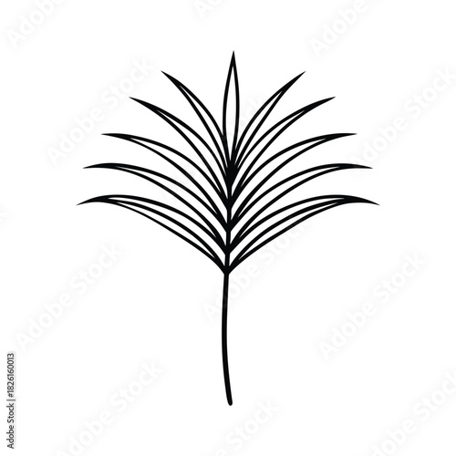 Delicate palm frond line art in a minimalist botanical illustration style for decor Vector illustration