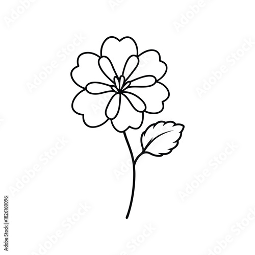 Delicate geranium flower line art created as a simple botanical outline for clean design Vector illustration