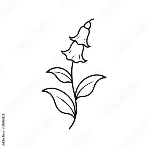 Minimalist foxglove flower line art featuring a simple bellflower outline design Vector illustration