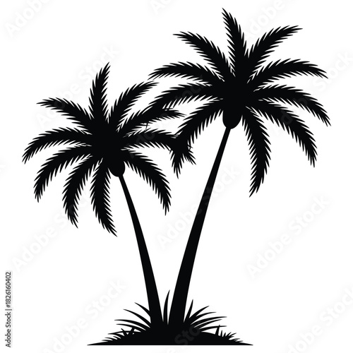 Silhouette of two palm trees with grass on a white background