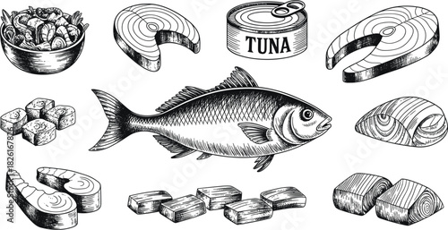 Set of Fish and Seafood Sketch Illustrations, Whole Tuna Steak Canned Food Drawing, Detailed Vintage Engraving Cooking Vector Graphic Collection